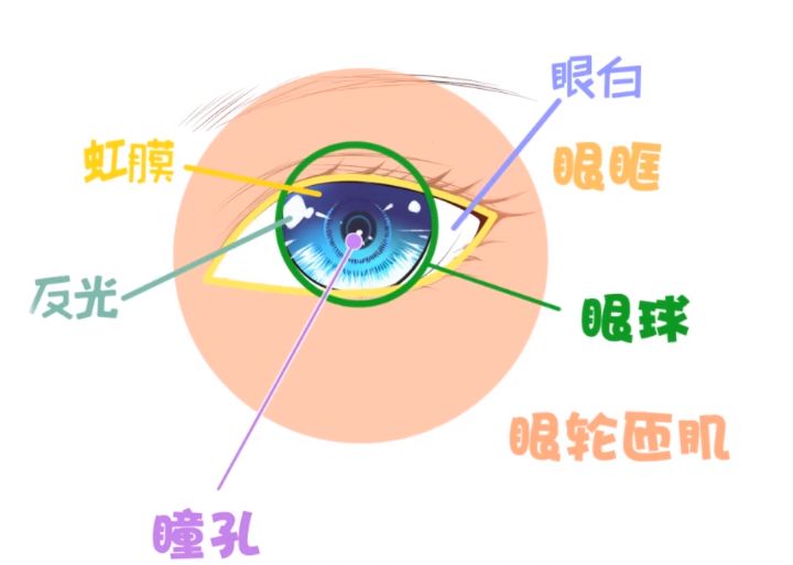 漫画人物眼睛画法教程,男生漫画眼睛的画法简单