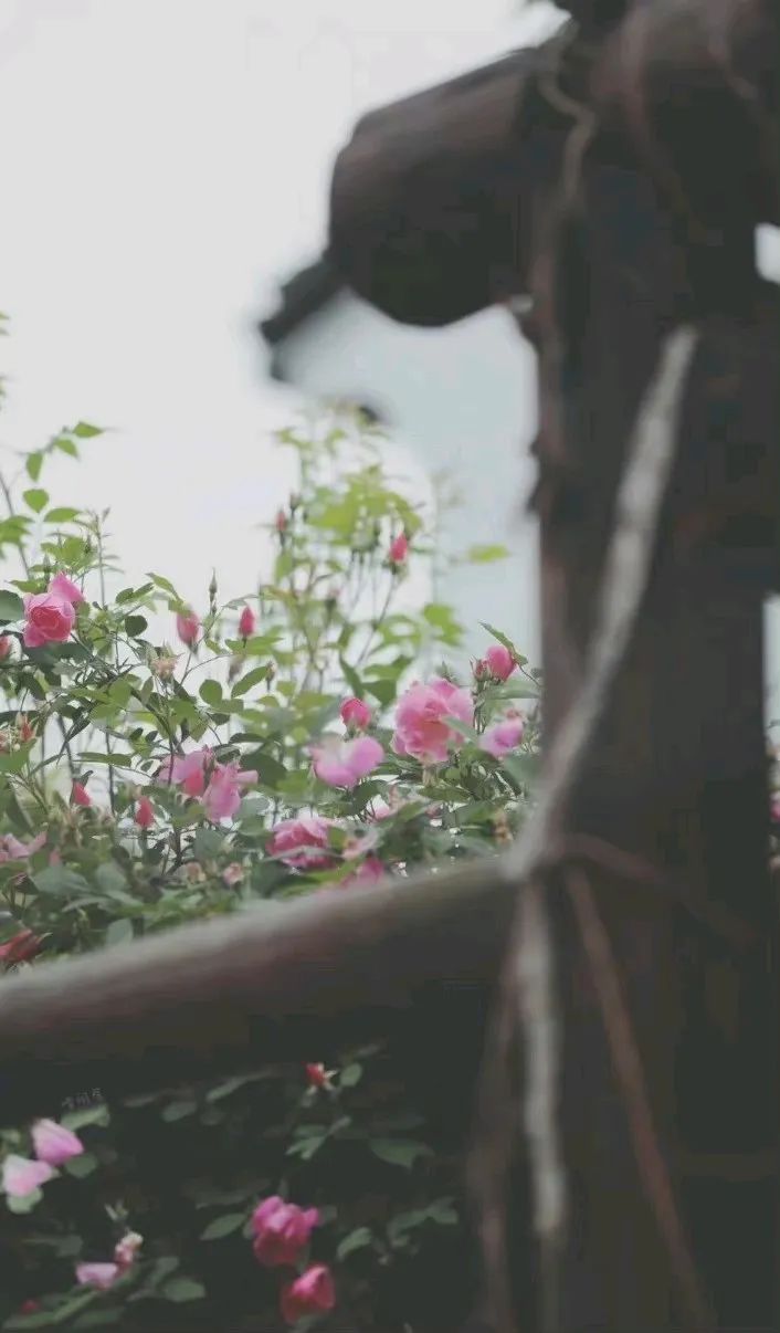 怎么才够温柔,怎么才能变得肯说话