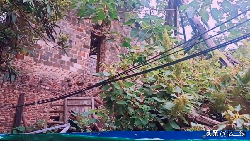 江西景德镇的姓氏,江西景德镇观前村姓氏