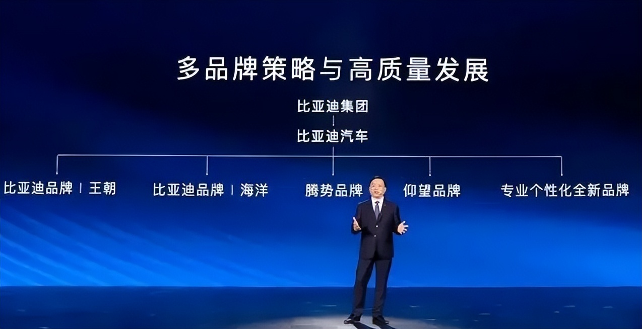 多品牌战略的利弊分析,多品牌战略的战略定位