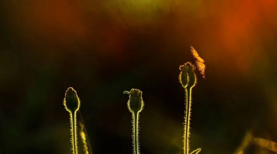 工作干到抑郁了要不要辞职,工作让自己抑郁是坚持还是辞职