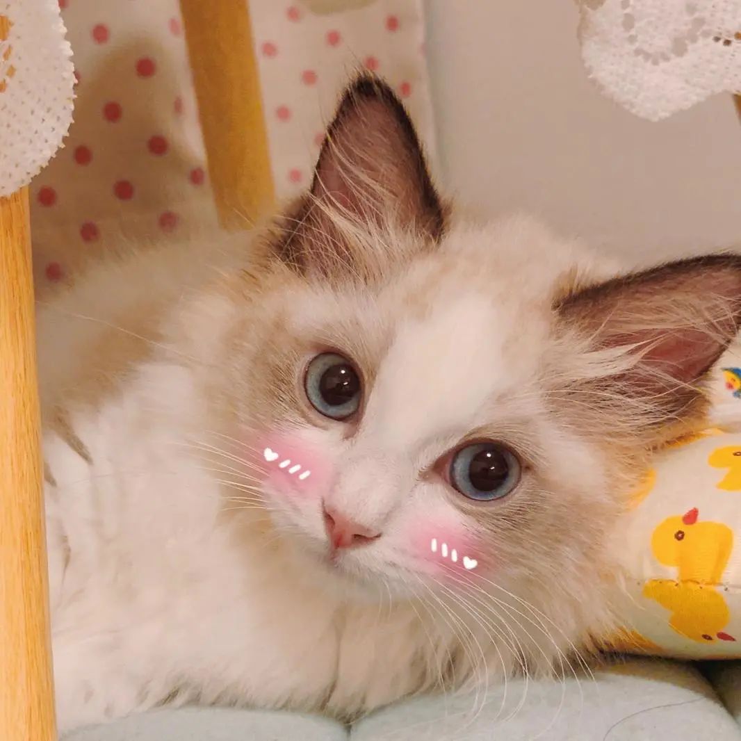 深圳免费好玩旅游景点排行榜前十,深圳十大好玩的景点推荐