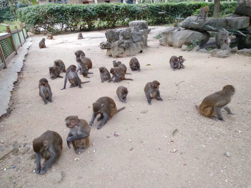 三亚旅游凤凰岛攻略,海南三亚旅游攻略文档