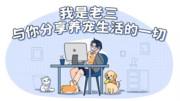 “猫咪发情，可以用棉签帮它爽爽吗？”