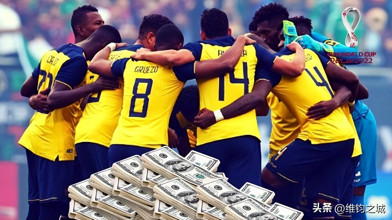 2022卡塔尔世界杯预选赛厄瓜多尔,2022卡塔尔世界杯决赛争议