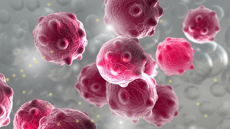 【津云夜读】天津这个区域迎来新发展｜2023运河桃花节攻略来了｜这种病毒进入高发期，中疾控提醒