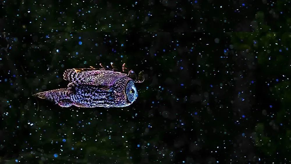 周末推荐阅读书目,乔布斯禅与投资说的什么