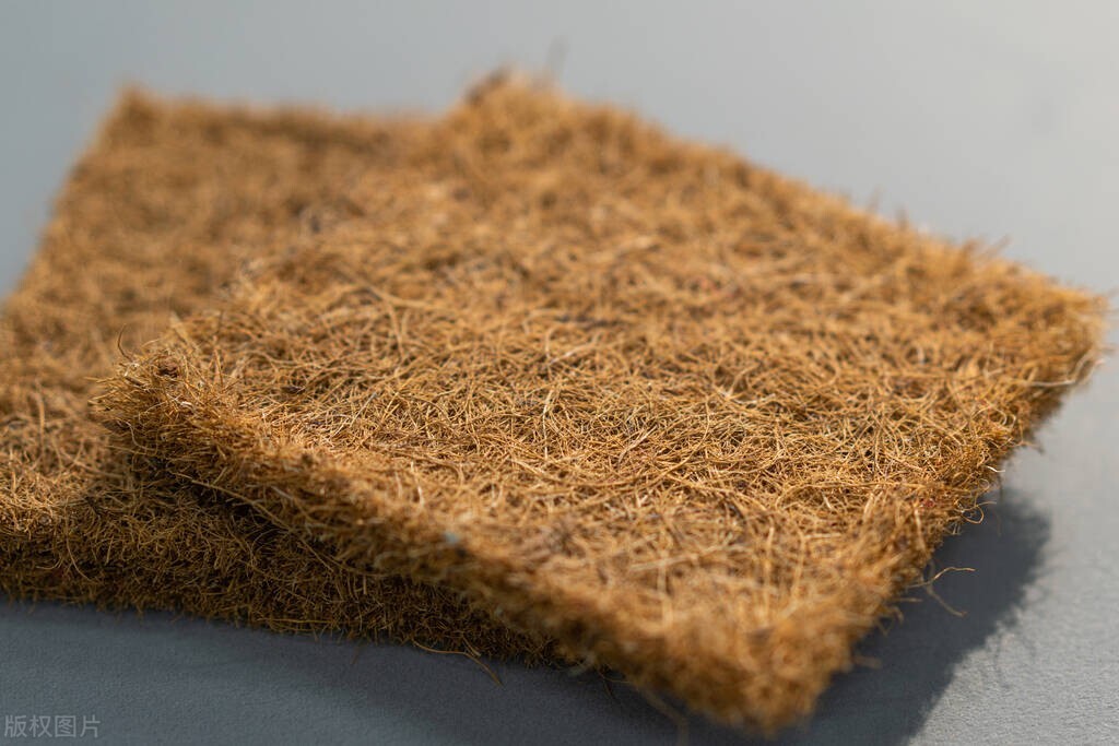 普通床垫和乳胶床垫哪个好,胶床垫和棕榈床垫到底哪个好