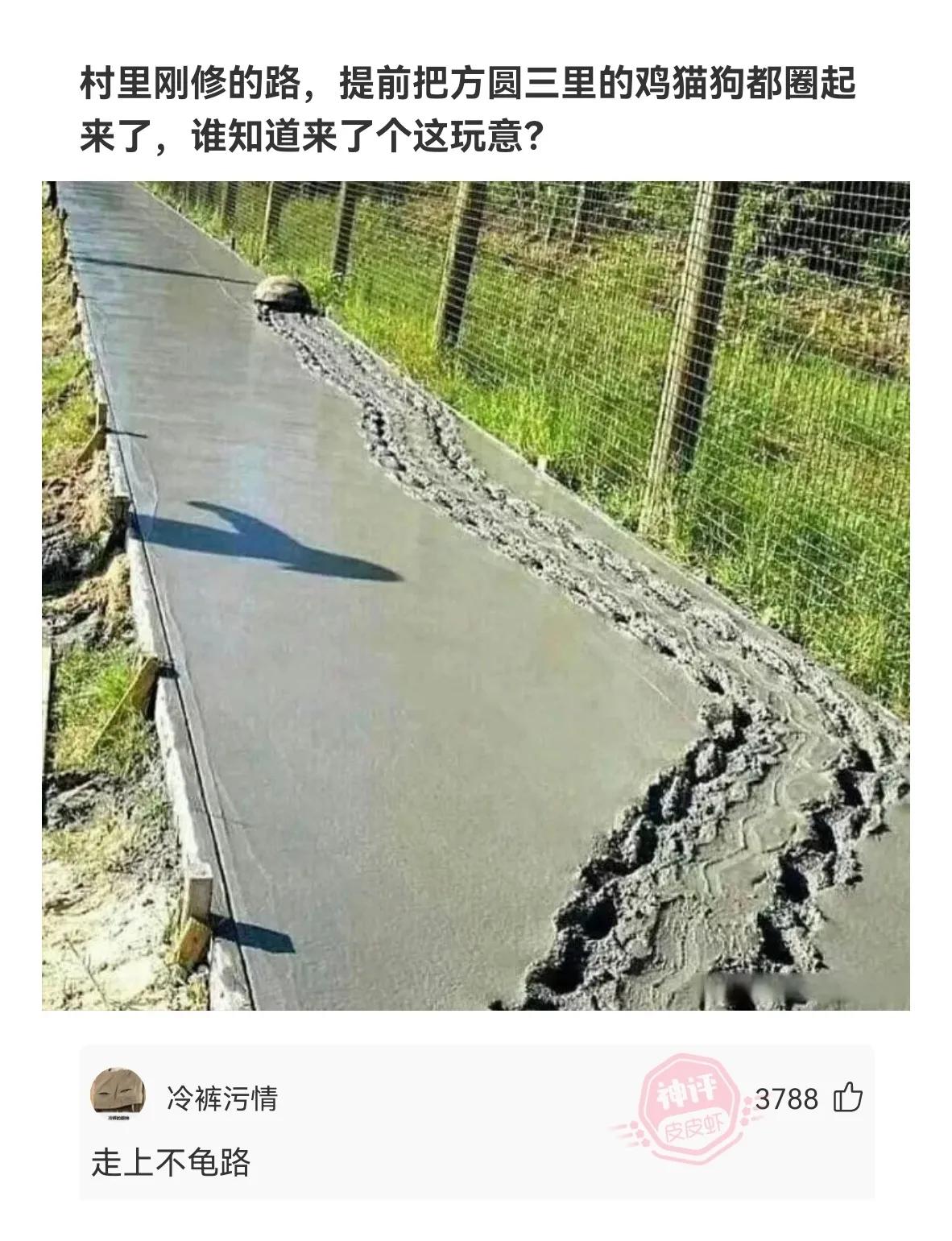 什么姐妹群名字好听霸气十足,同学群怎样取名又好听又霸气