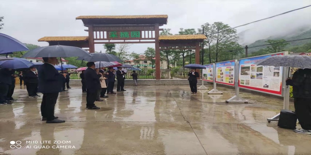 镇安观摩会重点项目,镇安县交流会