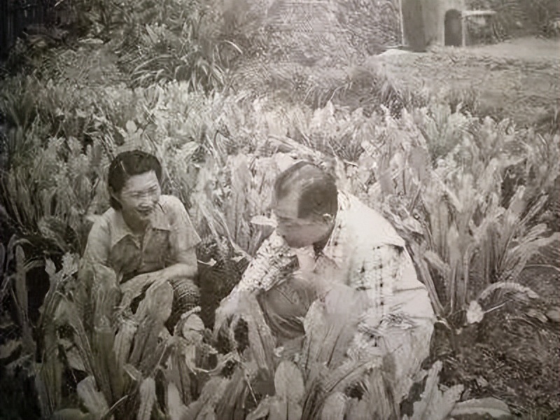 民国四公子之一完整版,民国四大公子照片