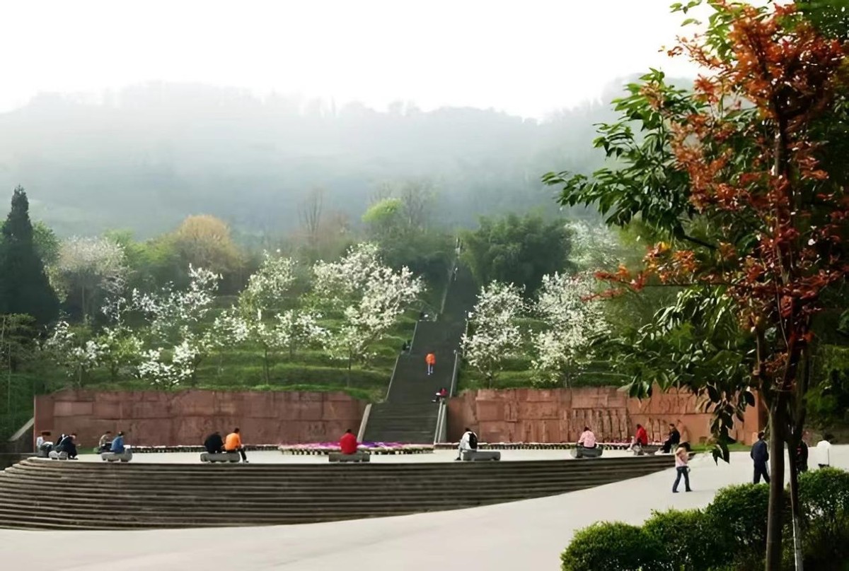 2022四川志愿填报学校数目,四川本科志愿填报多少个学校