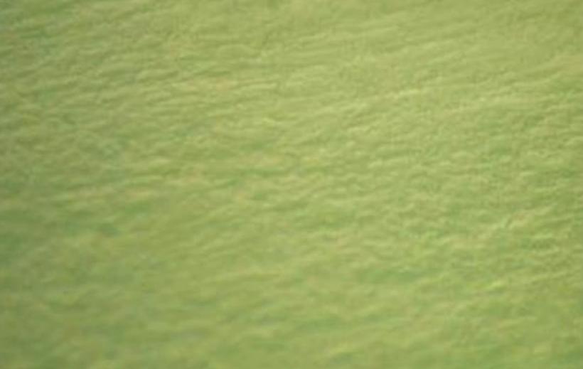 揭秘几种比较靠谱的翡翠鉴别方法,最简单实用鉴别真假翡翠的方法