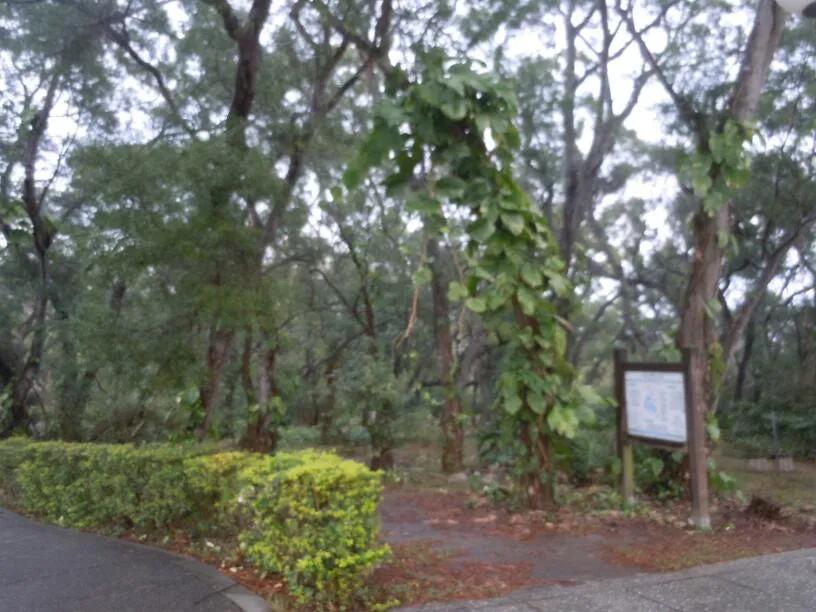 跟随老韩走遍中国，台湾自助游之十三