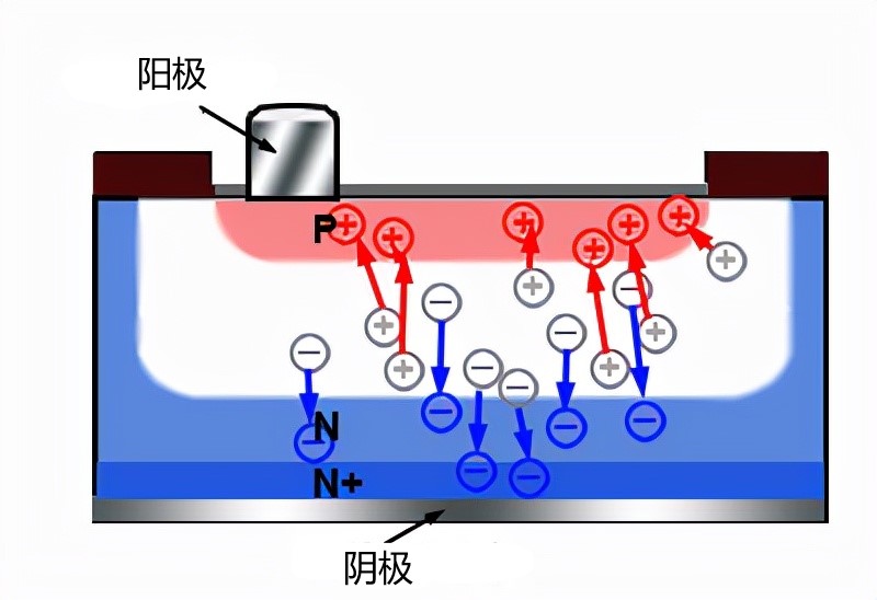 你想知道光电二极管的知识,光电二极管与发光二极管的区别
