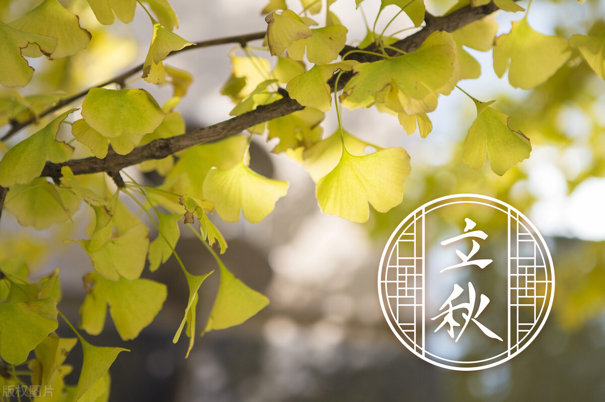 立秋以后少吃三样东西,立秋这天吃什么注意什么