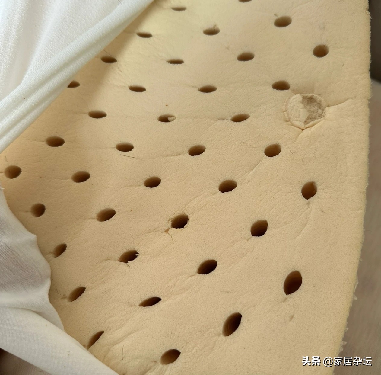 乳胶枕为什么火,犹拉缇乳胶枕缺点