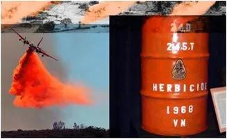 美军虐囚犯后果,美军虐囚行为