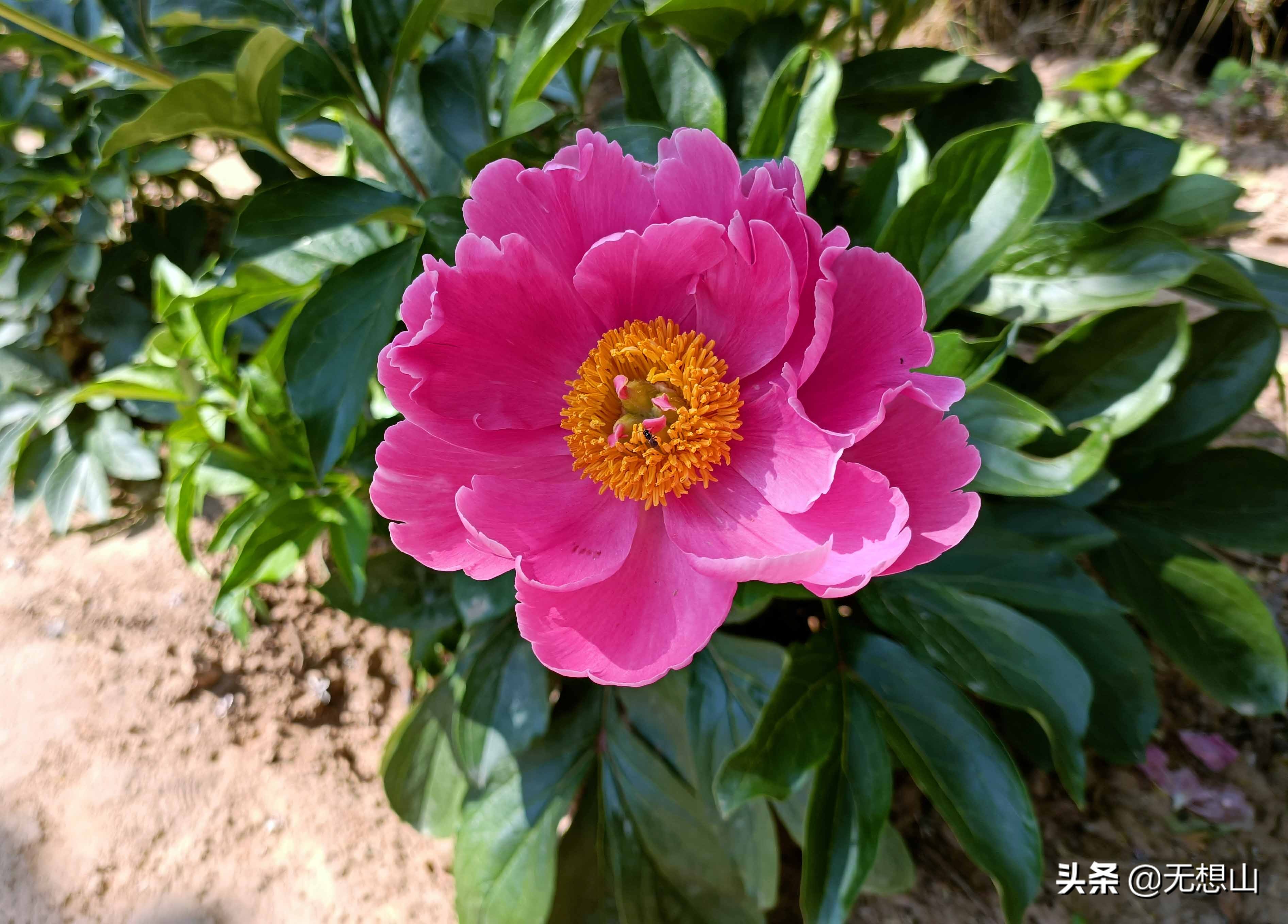 疫情宅家没收入焦虑,邻居建议房顶安太阳能发电挣钱,靠谱吗?