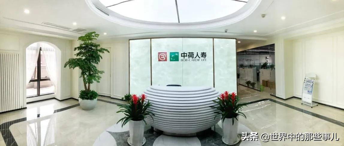 荷兰asml光刻机都不卖哪些国家,荷兰光刻机为什么没有自研芯片