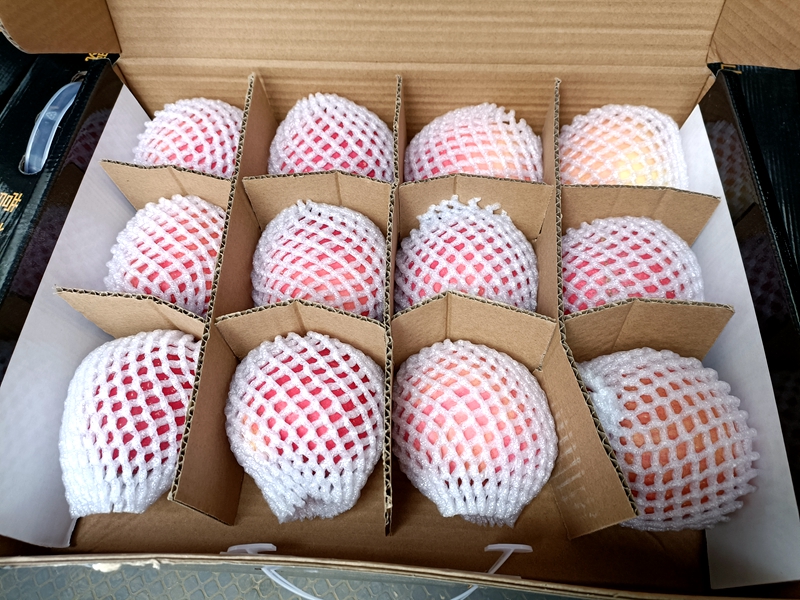 一腔故乡情，敢教荒山换新颜——记武山县优秀返乡创业者安小斐