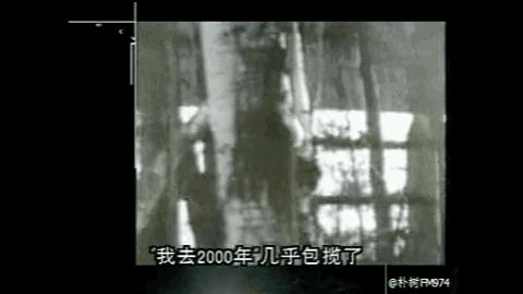 朴树娱乐圈段位,朴树音乐圈地位