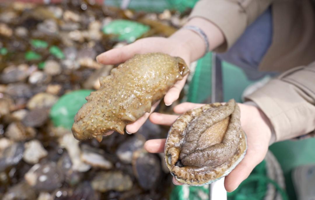 海边城市吃海鲜推荐,海边适合吃海鲜的小众城市