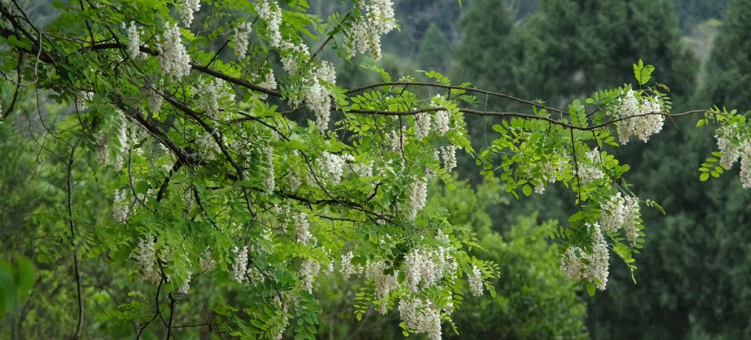 好的人生需要三句话,最好的人生需要这样的配置