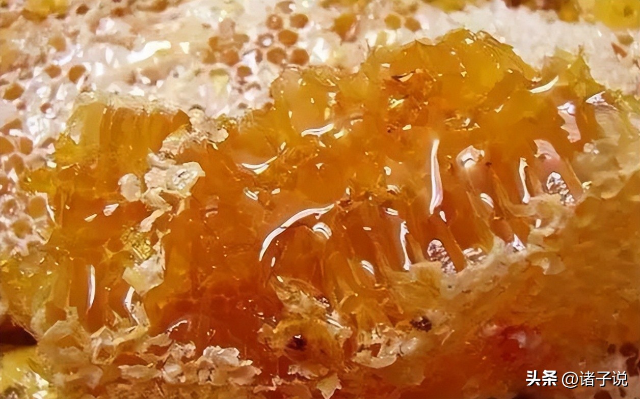 椴树蜂蜜真假鉴别最简单方法,用三种方法鉴别槐花蜂蜜真假