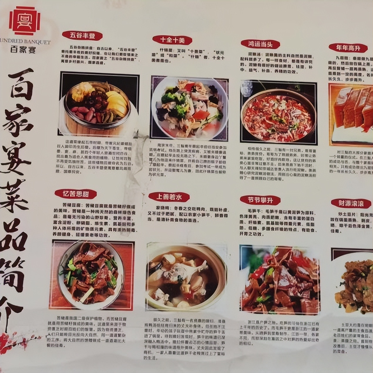 探百家福宴,寻千秋故园：浙财金融学院赴温州泰顺社会实践活动