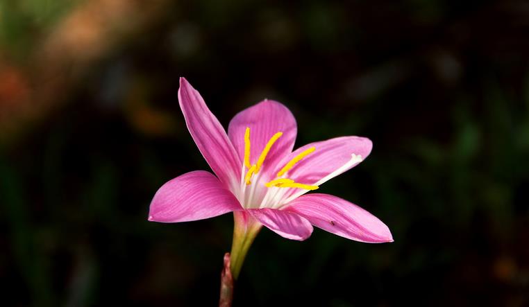 不管关系多好,也别请人吃饭、送礼,原因很现实