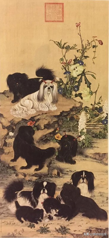 慈禧赠给英女王一条小狗？相反，这是英军从圆明园死者身边抢来的