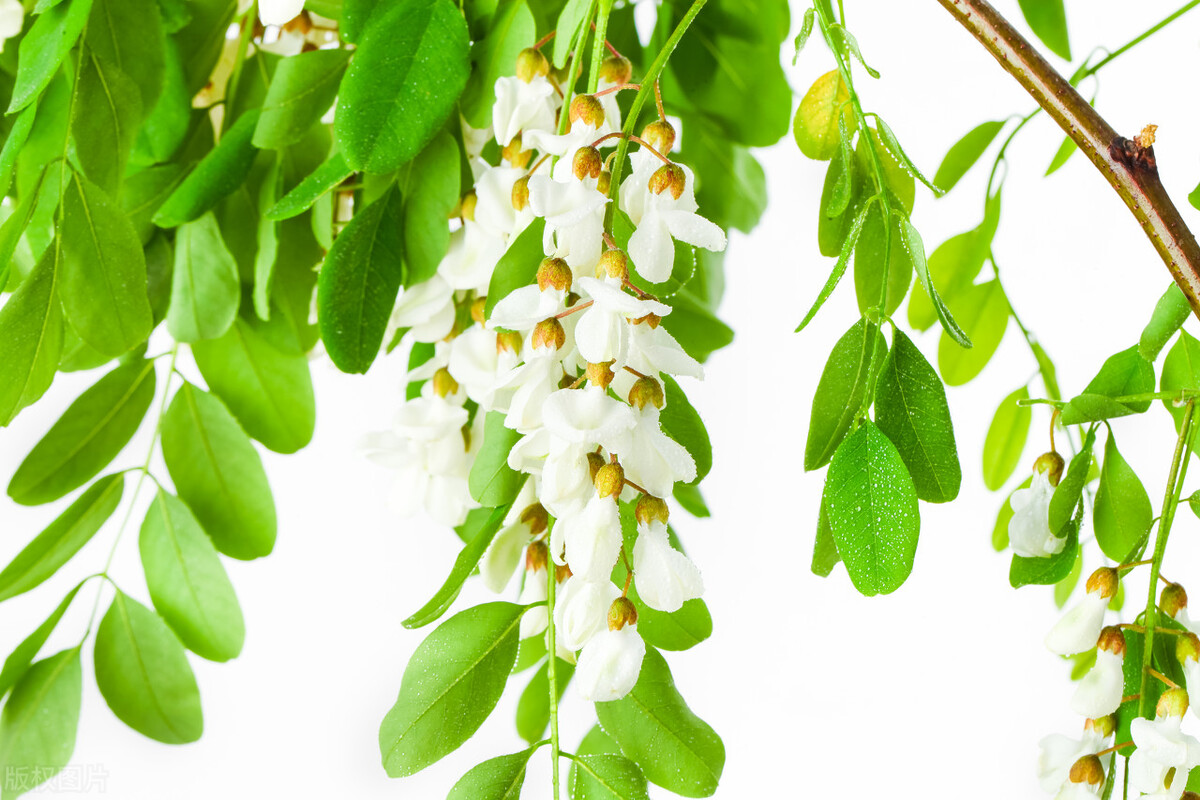 古诗词里关于友谊的唯美诗,8首友谊诗词