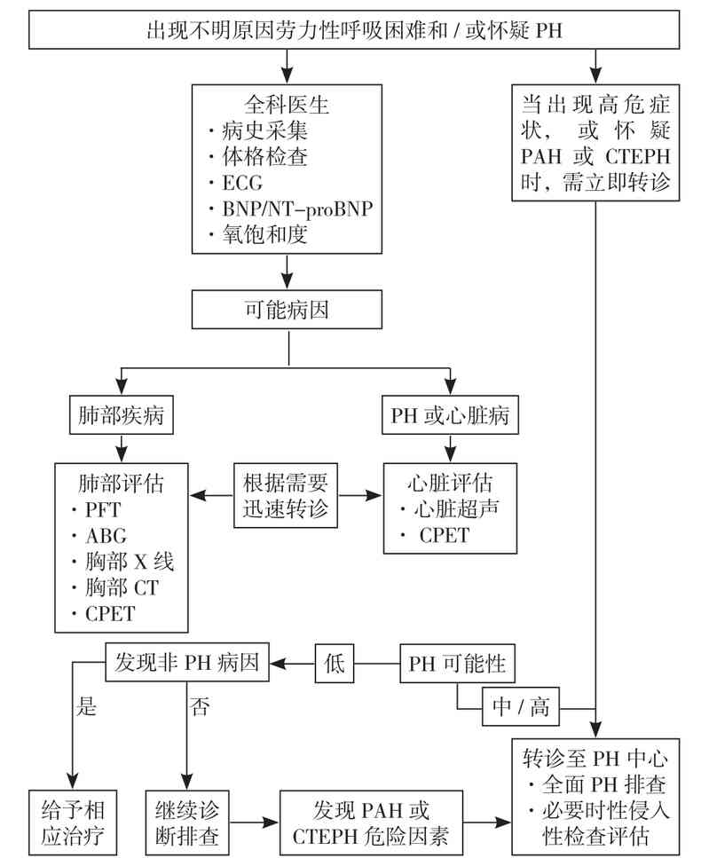 肺动脉高压临床诊治和管理中需要关注的热点问题