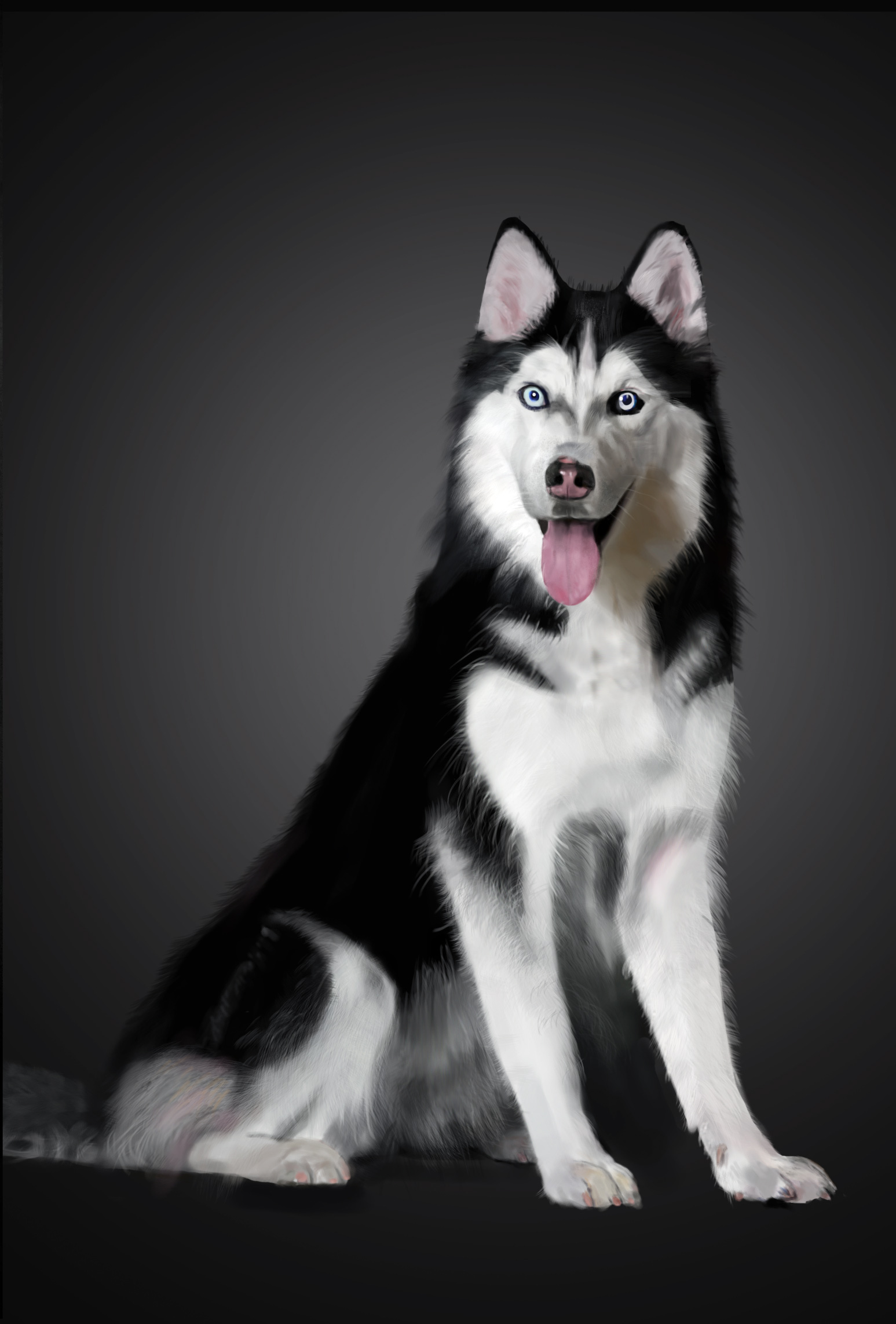 西藏有哪些世界名犬,世界十大名犬排行榜