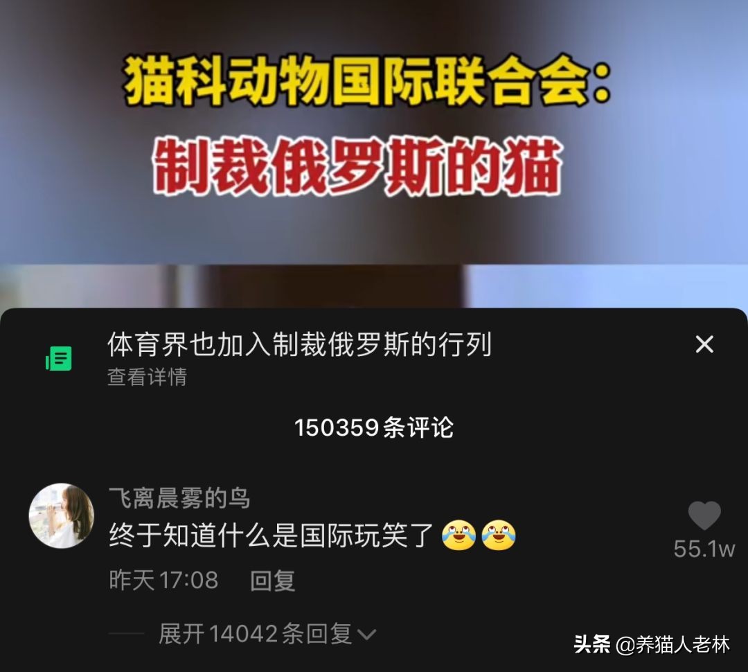 俄罗斯猫被制裁狗的反应,制裁俄罗斯猫什么意思