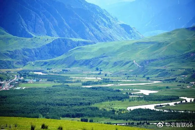 2022年畜牧业养牛有哪些优惠政策,2022畜牧业养牛问题及后期措施