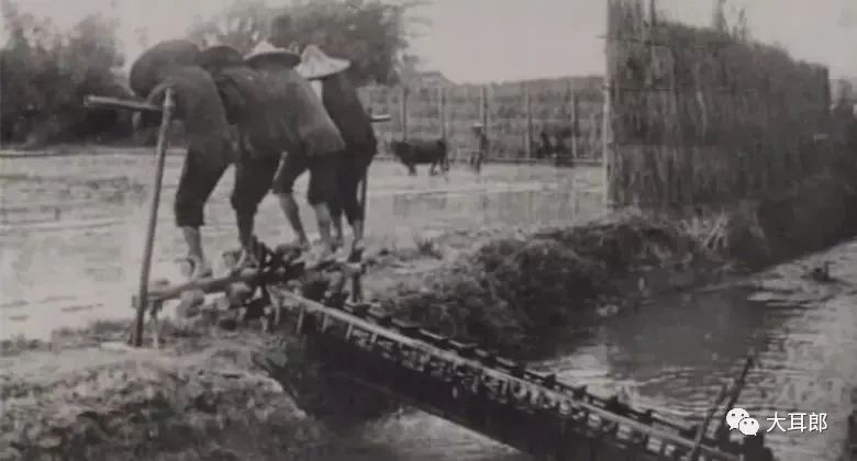 [心路历程]里下河樊汊锣鼓车车水号子