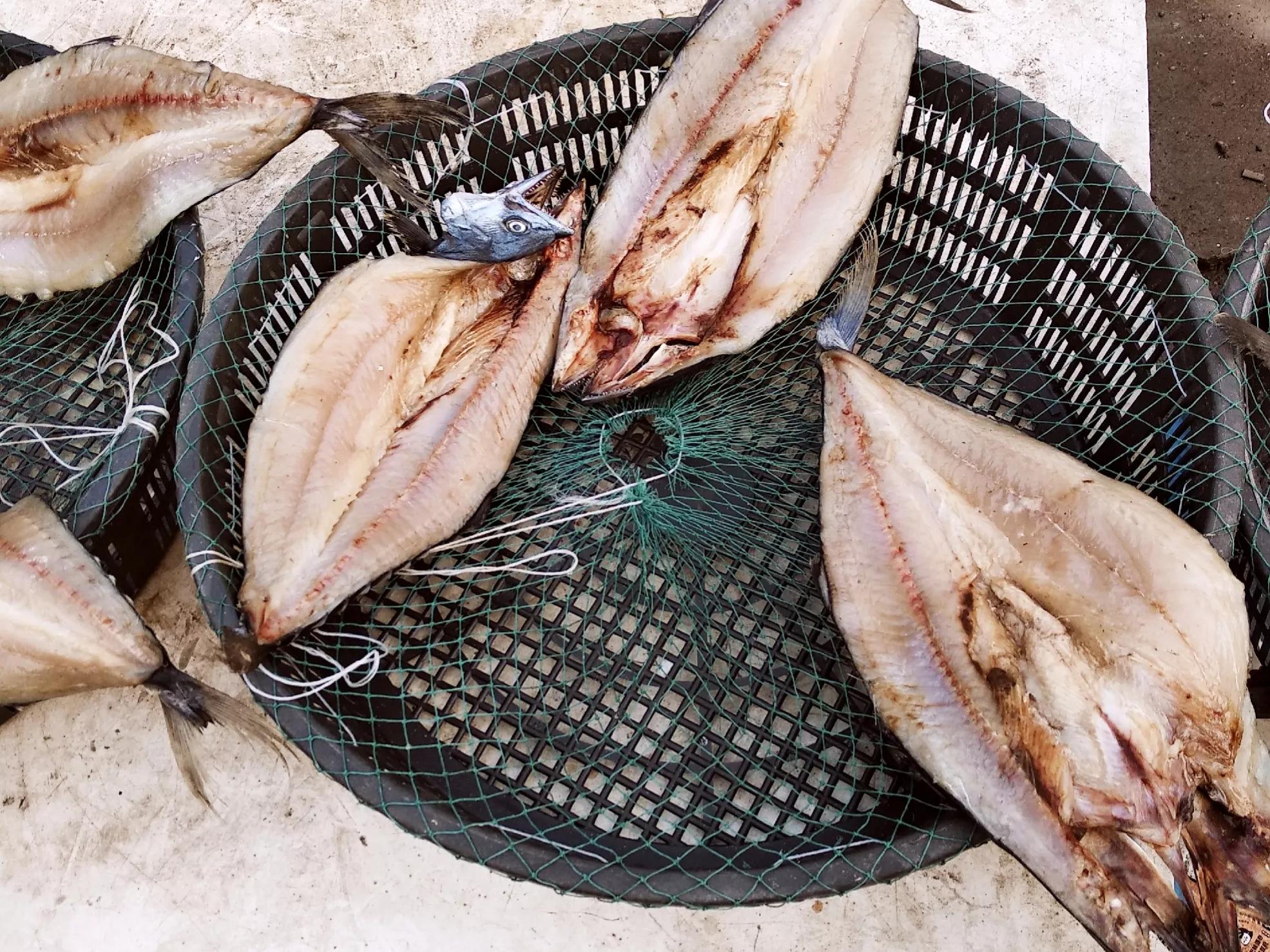 腌咸鱼要不要刮掉鱼鳞,腌咸鱼要不要倒白酒