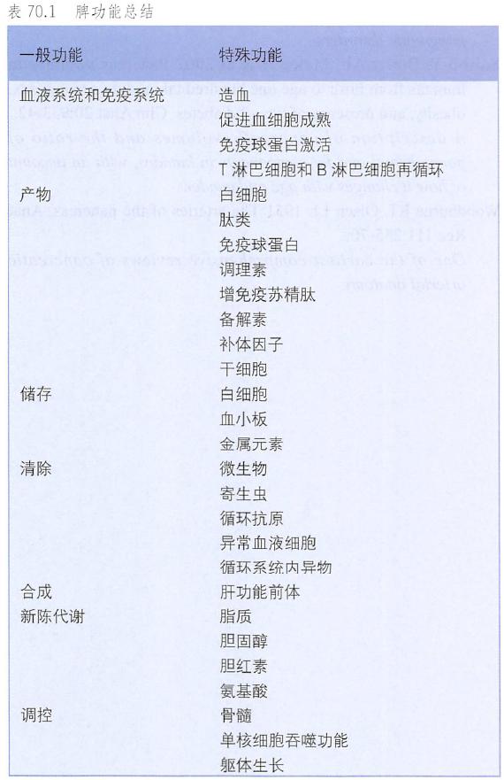 输尿管和髂血管解剖,脾胰解剖图