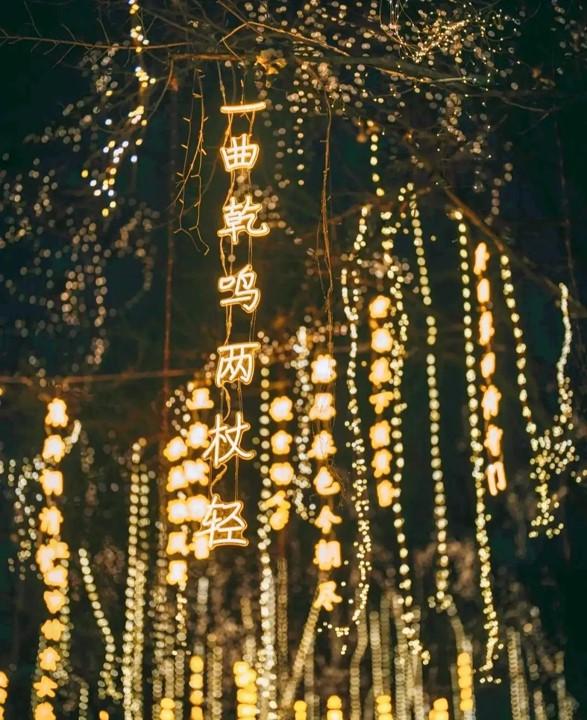 聊城灯光秀什么时候开始,聊城光岳楼今晚灯光秀几点上演