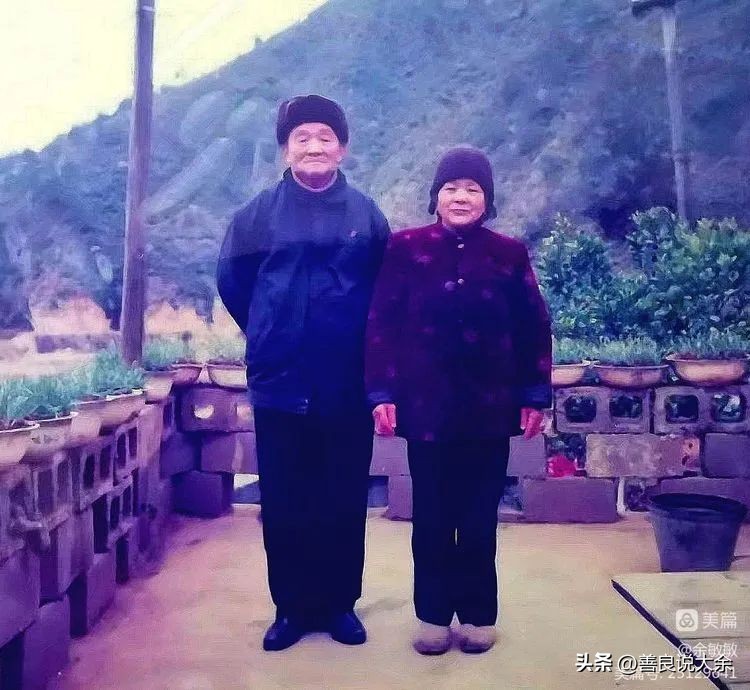 回忆下垄钨矿呵护我成长的阿毑和曾伯伯‖余敏敏作品