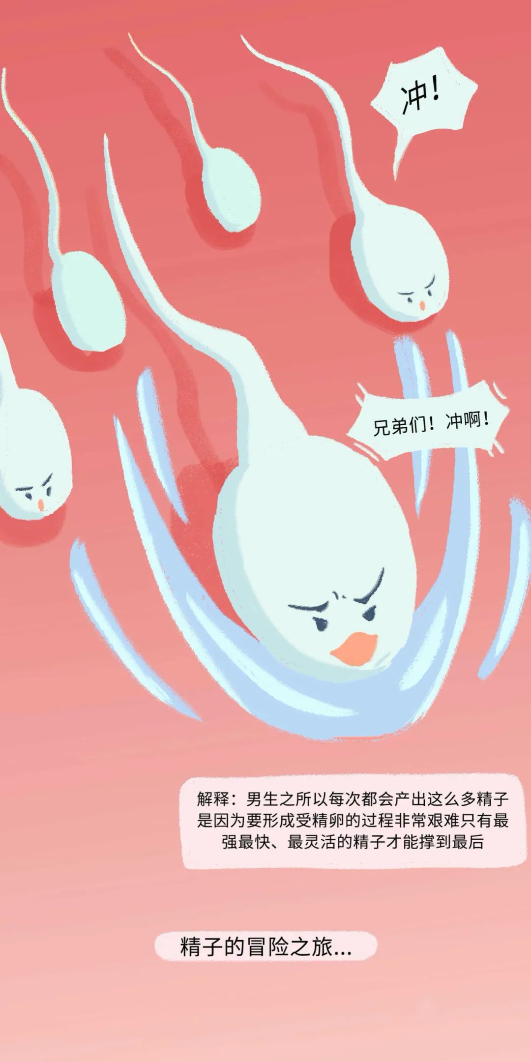 精子进入女生体内的全过程！（漫画）