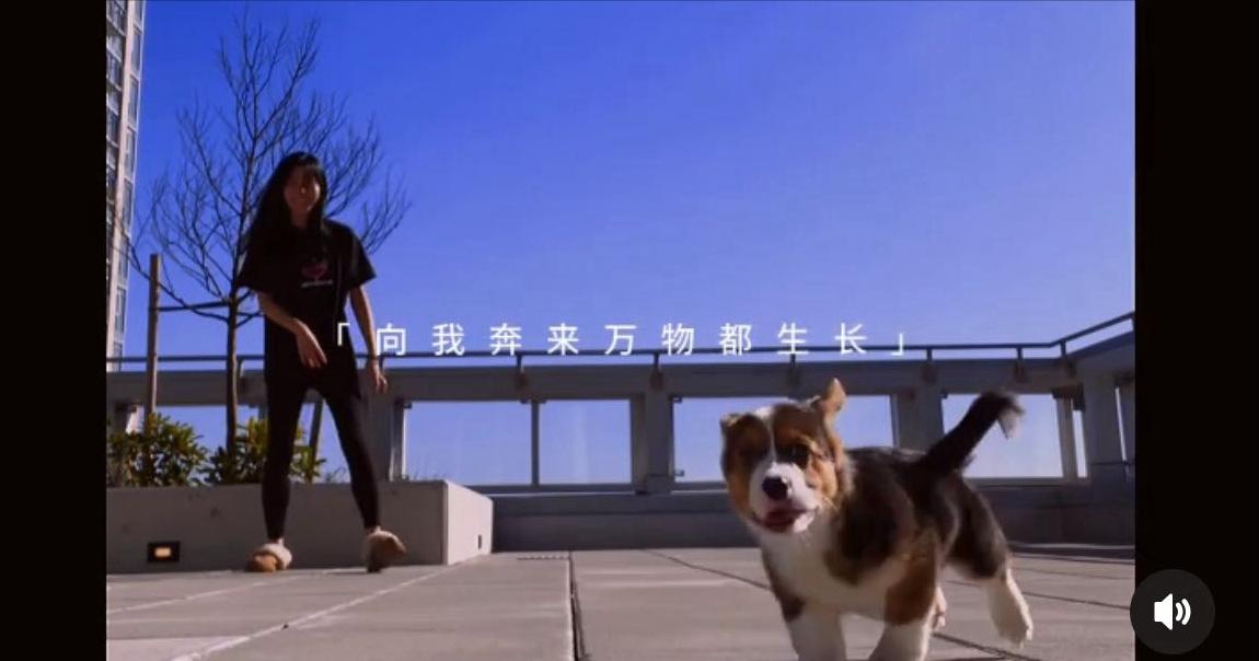 萧亚轩黄皓被曝复合,萧亚轩和黄皓恋情回顾