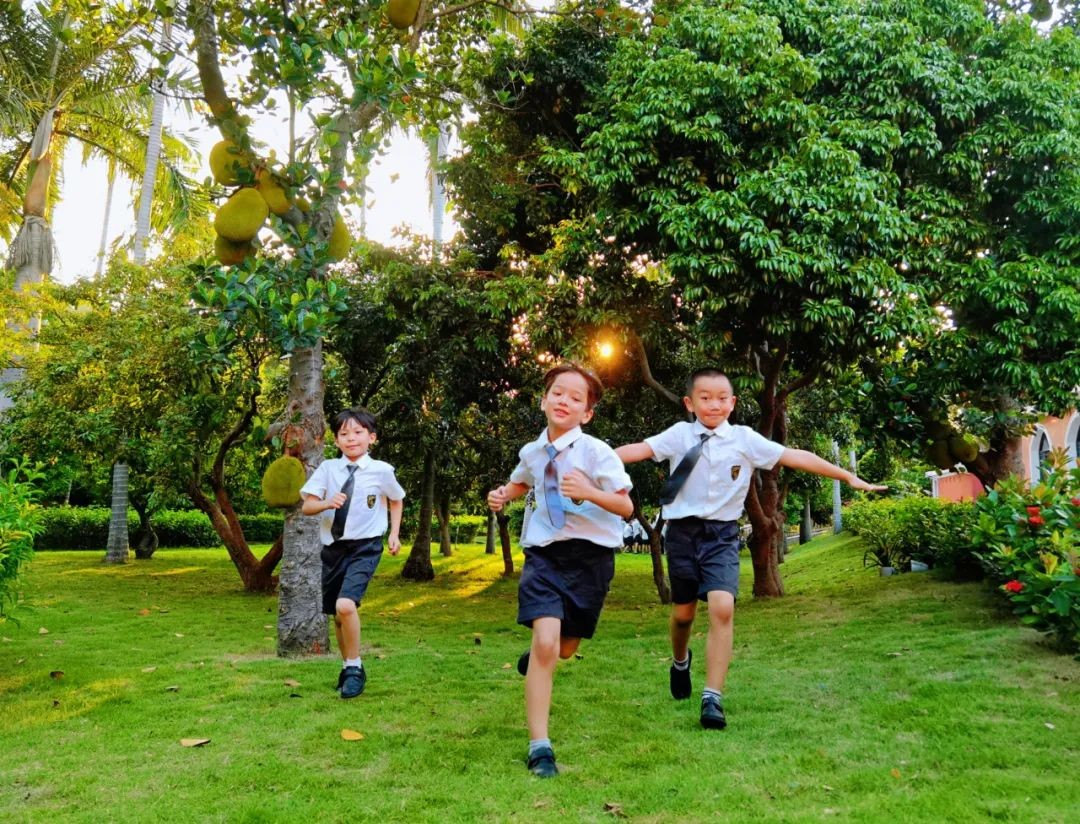 罗湖外语实验学校好吗,罗湖外语实验学校2019