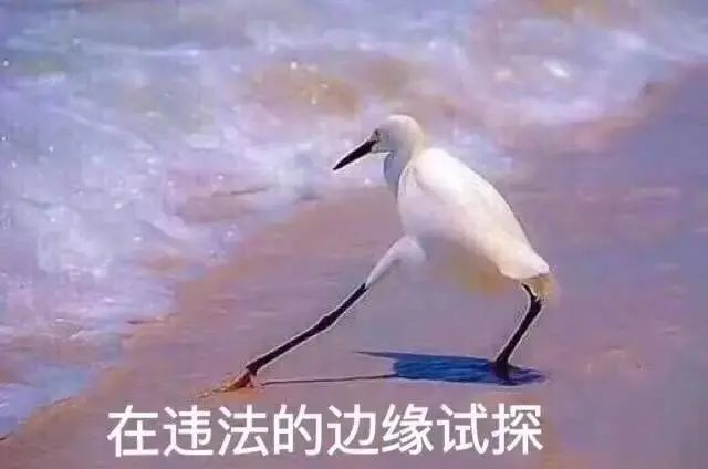 黑芝麻丸还要骗我们多久,黑芝麻丸子的功效与作用