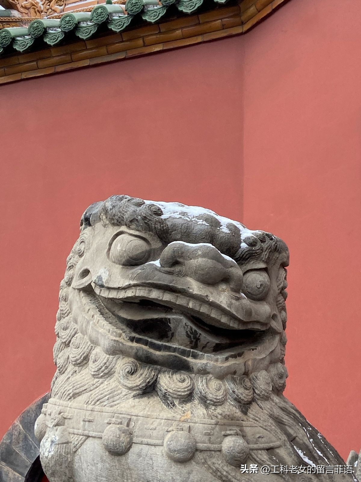 沈阳故宫今天的雪景,沈阳故宫冬天能看到雪吗