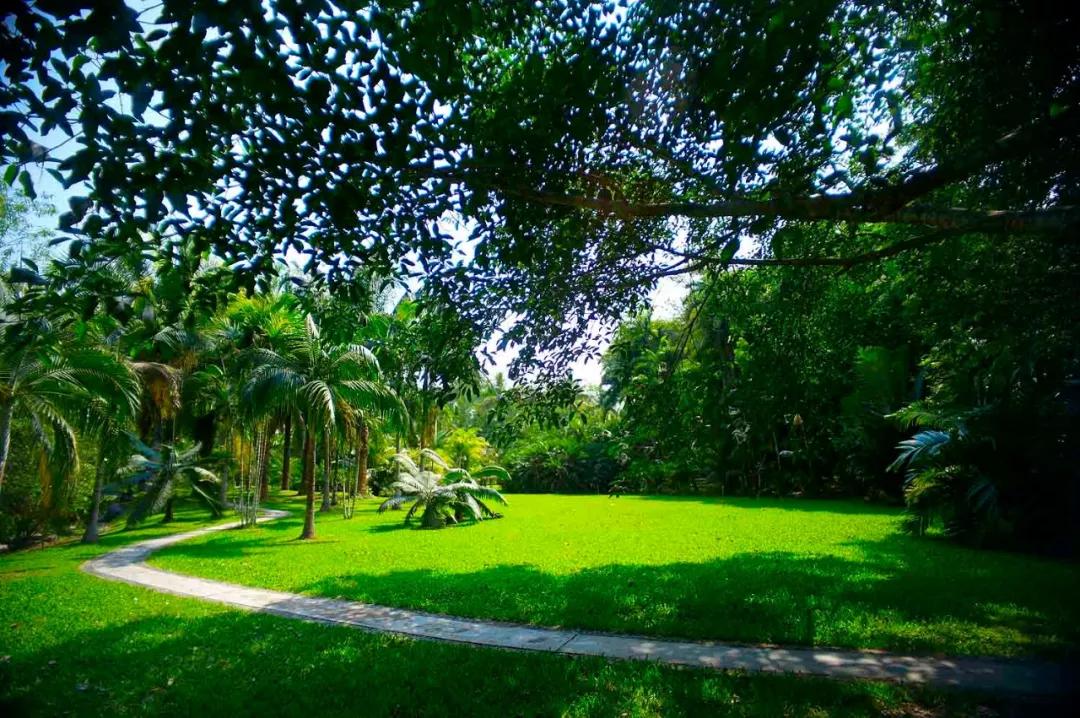 云南西双版纳旅游攻略app,云南西双版纳旅游攻略自由行12月