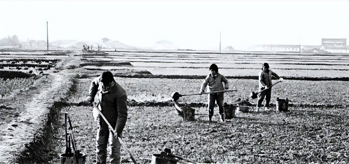 澶ч偙搴勭浣滃哀鍒,澶ч偙搴勭浣滄晱鍒