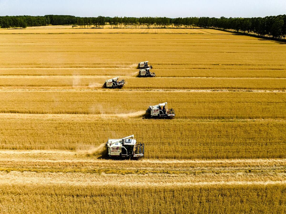 江苏省沃得收割机,江苏沃得8.0履带收割机